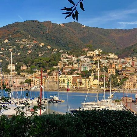 Bella Vacanza - City Center -Air Conditioning -Wi-Fi Rapallo Extérieur photo